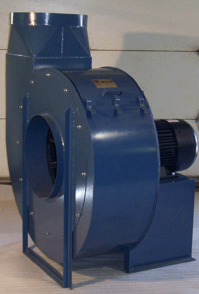 Large model DD Fan picture